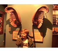 Rainforest and Beaches of Costa Rica