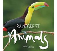 Rainforest Animals