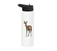Rainforest Animals - Roe Deer Stainless Steel Insulated Water Bottle