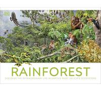 Rainforest