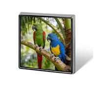 Rainforest Double Parrot Lapel Pin Brooches Square Fashion Brooch Pin Cute Button Badges Alloy Button Pins Enamel Pins Metal Pinback for Hat Shirt Clothing Bags