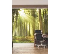 Rainforest Leaves Wall Mural Origin Murals Emerald W350cm x H280cm