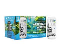 RainForest Premium & Natural Artesian Spring Water from Costa Rica, Aluminium Cans 16fl.oz/475ml. (12 Pack)