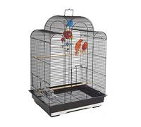 Rainforest San Luis Cage, Black