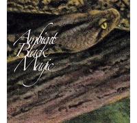 Rainforest Spiritual Enslavement - Ambient Black Magic [New Vinyl LP]