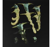 Rainforest Spiritual Enslavement - Jellyfish Reproduce Black Magic [VINYL]