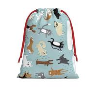 Raining Cats & Dogs Print Functional Gift Storage Bag Eco-Friendly Comfortable Touch Outdoor Activities Use