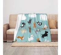 Raining Cats & Dogs Print Soft Cozy Throw Blankets Lightweight Warm Anti-Pilling Flannel Blanket Travel Gift