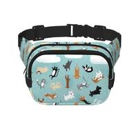 Raining Cats & Dogs Square Double Layer Waist Bag Belt Fanny Pack Purse with Adjustable Strap, Running, Travel, Hiking