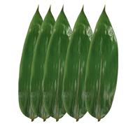 Rainlily Wen Bamboo Leaves 500 Pcs Fresh Leaf Bamboo Zongzi Leaf Banana Leaf Substitutes Sushi Plate Vacuum Bamboo Leaf Wrap Foods Food Decorate