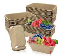 Rainmae 50 Pack Natural Pulp Fiber Large Berry Basket for Picking Fruit, Molded Berry Basket for Blueberry Raspberry Cherry Strawberry and Vegetable, Farmer Market, Grocery Stores, Backyard Party