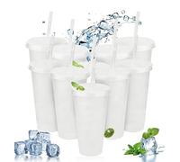 RAINPOP Iced Water Cups with Lids & Straws - 10Pcs 24oz Cold Drinking Tumblers Plastic Tumbler Set Reusable Plastic Cup, Slushie Cup Coffee Smoothie Slushy Drinking Cup Party Cups