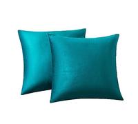 RainRoad Dark Teal Throw Pillows Covers 20x20 Inch Set of 2 Velvet