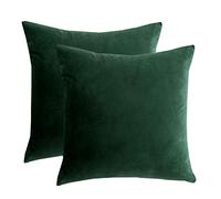 RainRoad Velvet Decorative Throw Pillow Covers Cushion Cover Pillow Case for Sofa Couch Bed Chair, Soft Square Dark Green Throw Pillows 18 x 18 Inches, Set of 2