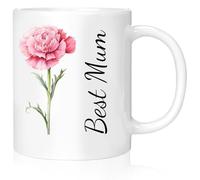 Rainsar Personalised Mum Mug with Bloom Double Side, Customised Mothers Day Gift Ceramic Coffee Cup with Flower and Text, Holding 300mL Mug with Handle,Carnation