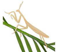 Rainteam Plant Animal Decor Cute Brass Plant Hanger Ornaments for Gardeners Plant House Forests Decorations Pots Funny Plant Accessories for Plants Lover Gifts (2 Mantis)