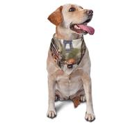 Rainy Street in Paris Dog Bandana Pet Scarf Accessories for Small Medium Dogs Cats Photo Prop, Triangle Pet Bandanas Adjustable Puppy Bib Washable Dog Kerchief Puppy Neckerchief