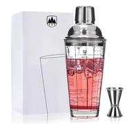 Raisaplin 14 oz Crystal Glass Cocktail Shaker - Features Double Sided Shaker, Leak Proof Metal Steel Lid with Strainer, Handy Recipe Printed on The Side, for Martini, Margarita, Beginner Drink Making