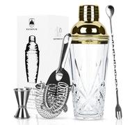 Raisaplin 4 Pcs Cocktail Shaker Set - Mini Home Bar Bartender Set, Tools for Mixing Drinks Including Glass Shaker, 10" Cocktail Spoon, Double Jigger and Tight Spring Bar Strainer - Gold