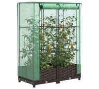Raised Bed Greenhouse Brown PP Rattan Look PE Cover 80x40x123 cm Iron TubeFrame