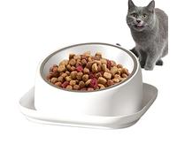 Raised Cat Bowl - 15 Degree Slanted Bowl for Dogs and Cats Without | For Cats Non-slip and Noise-Proof Cat Bowl That Protects Spine 'Soul
