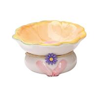 Raised Cat Bowl Angled Shallow Pet Feeder Feeding Healthy Diet Care