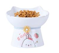 Raised Cat Bowl, Ceramic Cat Raised Food Bowl Tilted, Anti Vomit Cat Feeding Dish, Whiskers Friends for Indoor Cats Kittens