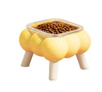 Raised Cat Bowl, Kitten Bowl with High Base - Stain-Resistant High Legs Drinker for Daily Feeding Use at Home or Travel