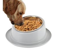 Raised Cat Bowl, Slanted Pet Bowl for Dogs | Non-Slip 15 Degree Tilting Pet Bowl | Stainless Steel Pet Feeder for Cats, Dogs, Microwave Safe Bowls for Home, Cage