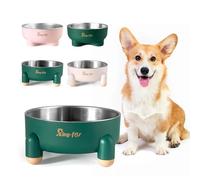 Raised cat Bowl, Stainless Steel Cat Dog Food Water Bowls, Four-Leg Non-Slip and Silent Rubber Bottom, Double-Layer Detachable Design, Dishwasher Safe, (24 oz, Green,Tetrapod)
