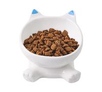 Raised Cat Bowls - Cat Bowl Raised | Slanted Ceramic Bowl Leak-Proof Non-Slip for Cat Puppy Eating Drinking Home City Travel
