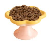 Raised Cat Bowls Ceramic - Whisker-Friendly Flower Sting, Raised Water Feed | Cute Pet Feeding Bowl, Flat Face Dish for Small Dog Fat Faces Cat Kitten