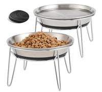 Raised Cat Bowls, Elevated Stainless Steel Cat Feeding Bowls for Food and Water, Non Slip Metal Kitten Dishes (Stainless Steel)