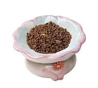 Raised Cat Bowls - Modern Ceramic Cat Plate, Decorative Raised Feeding Dish, Ergonomic Pet Dinner Bowl, Clean Food Water Container | Eats