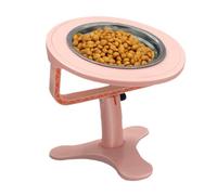 Raised Cat Bowls - Ten Inch Angled Stainless Steel Feeding Bowl, Raised Feeding Stand, Slow Eating Design, Ergonomic Tilt Structure, Dishwasher Safe Construction | Vie