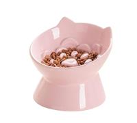 Raised Cat Food Bowls Ceramic Slow Feeder Water Dish