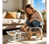 Raised Dog Bowl - 15 Degree Angled Pet Feeder, Station Triple Bowl with Ergonomic Height for Comfortable Eating Stand Dish for Dogs Cats Use for Home Kitchen Living Room Balcony 16.85x6.3x5.91 inches