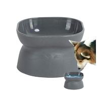 Raised Feeding Bowl for Pets - Marbled Dog Bowl with Marble Look - 10 Degree Tilted, Stylish Feeding Bowls for Water Dry Food Young Cats and Puppies