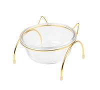 Raised Glass Pet Bowl with Stand Slant Design Metal
