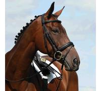 Raised padded riding bridles Weatherbeeta Collegiate Syntovia+