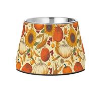 Raised Pets Food Bowls Enhanced Stainless Steel Cats Basic Bowls for Dogs Cats Rabbits Birds Whisker Friendly Hand-Drawn Pumpkins