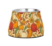 Raised Pets Food Bowls Enhanced Stainless Steel Cats Basic Bowls for Dogs Cats Rabbits Birds Whisker Friendly Hand-Drawn Pumpkins