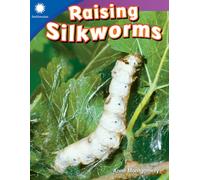 Raising Silkworms
