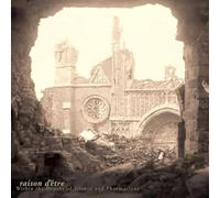 Raison d'Etre - Within the Depths of Silence... (Marbled Black / Gol [VINYL]