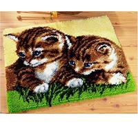 Raixleb Latch Hook Kits for Adults/Kids Pattern Printed Rug Making Kit Everything Included Gift for Family Friends Latch Hook Rugs DIY Needlework Crafts for Home Sofa Cat 20X15 inches