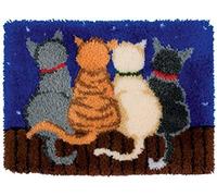 Raixleb Latch Hook Kits Rug Pattern Printed 20" X 15" DIY for Kids and Adults Gift for Family Friends Needlework Crafts Cute Christmas Gifts Cat