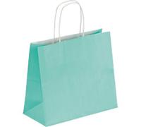 RAJA Carrier Bag Paper Sea Green 100 gsm 21 x 11 x 24 cm Pack of 50
