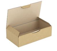 RAJA Corrugated Box Corrugated Cardboard 100 (W) x 50 (D) x 180 (H) mm Brown Pack of 50