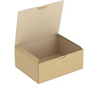 RAJA Corrugated Box Corrugated Cardboard 200 (W) x 100 (D) x 250 (H) mm Brown Pack of 50