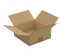 RAJA Folding Carton Single Wall Corrugated Cardboard 250 (W) x 100 (D) x 250 (H) mm Brown Pack of 25